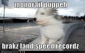 funny-dog-pictures-monorail-puppy