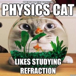 Physics Cat 4